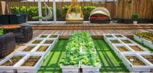 Transform Your Outdoor Oasis: Expert Tips for Landscaping Success